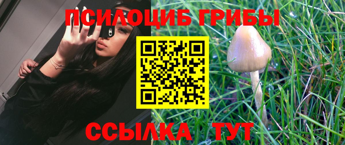 Псилоцибиновые грибы Magic Shrooms Миллерово